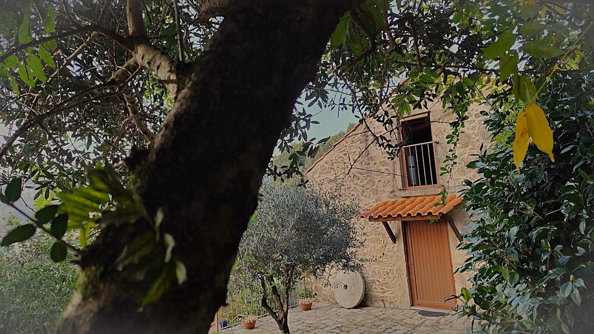 Quinta Da Costeira Villa Sever do Vouga Eksteriør bilde