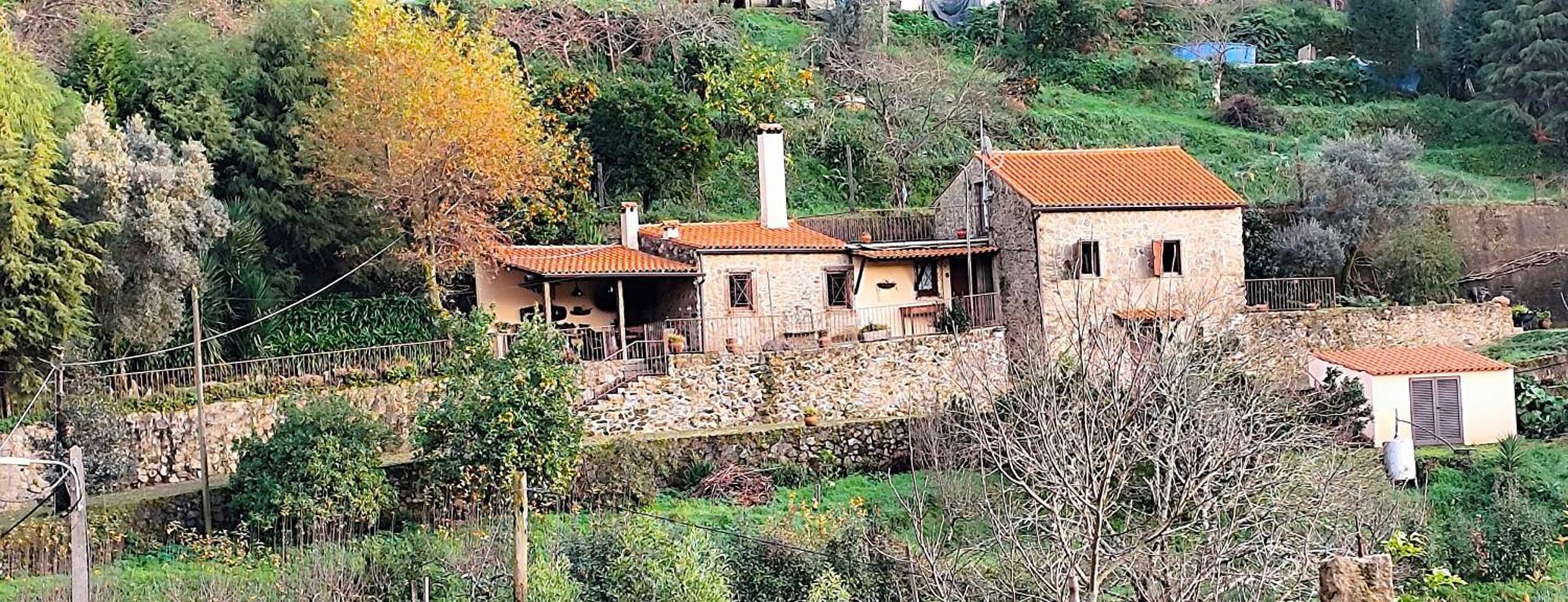 Quinta Da Costeira Villa Sever do Vouga Eksteriør bilde