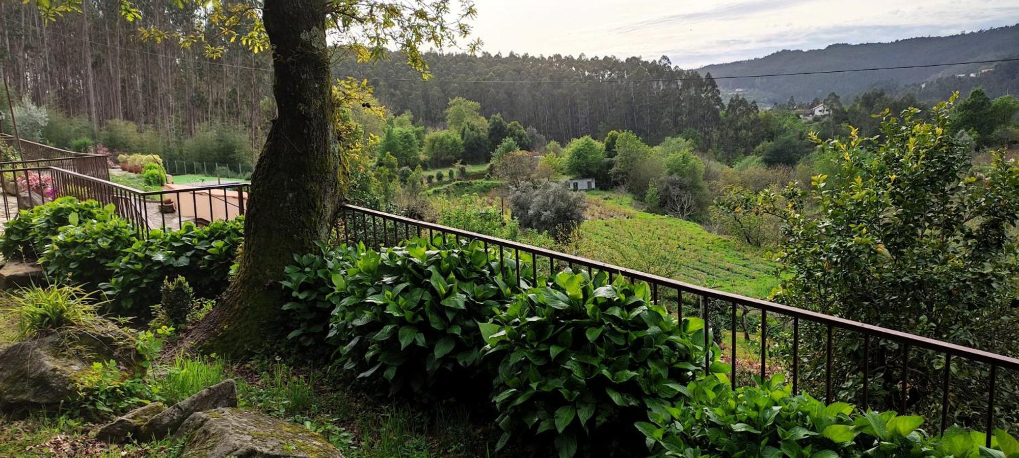 Quinta Da Costeira Villa Sever do Vouga Eksteriør bilde