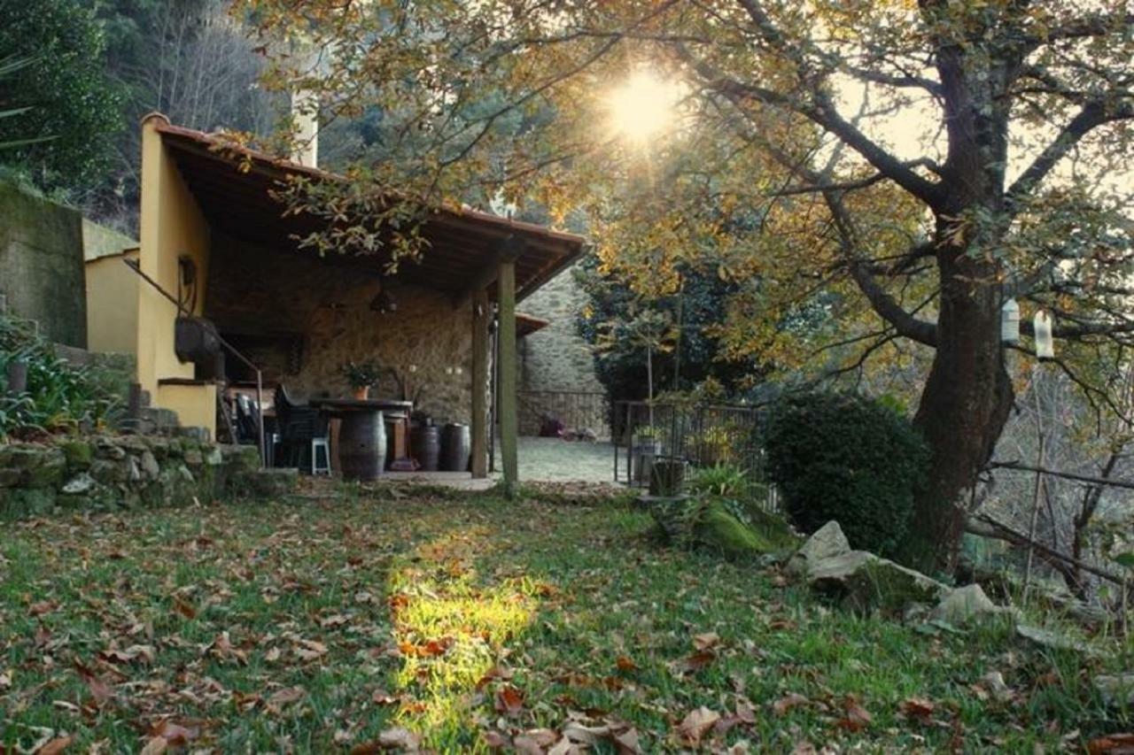 Quinta Da Costeira Villa Sever do Vouga Eksteriør bilde