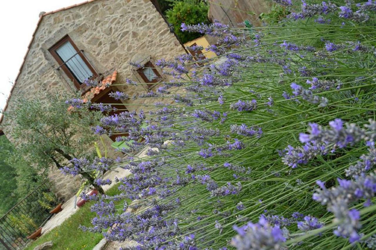 Quinta Da Costeira Villa Sever do Vouga Eksteriør bilde