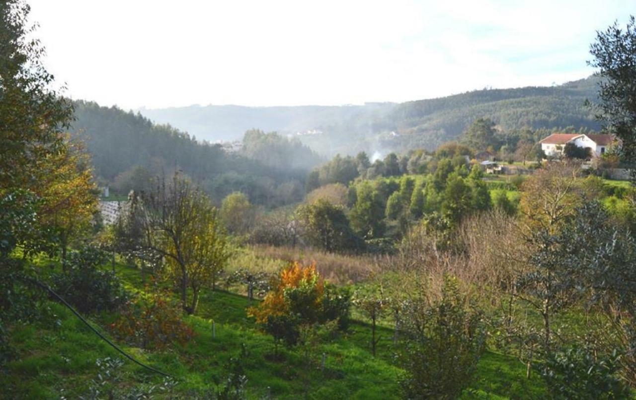 Quinta Da Costeira Villa Sever do Vouga Eksteriør bilde