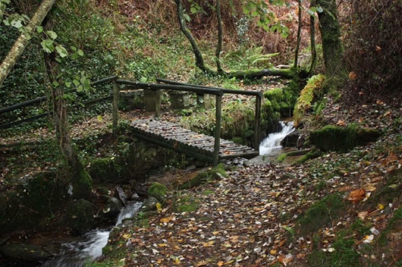 Quinta Da Costeira Villa Sever do Vouga Eksteriør bilde