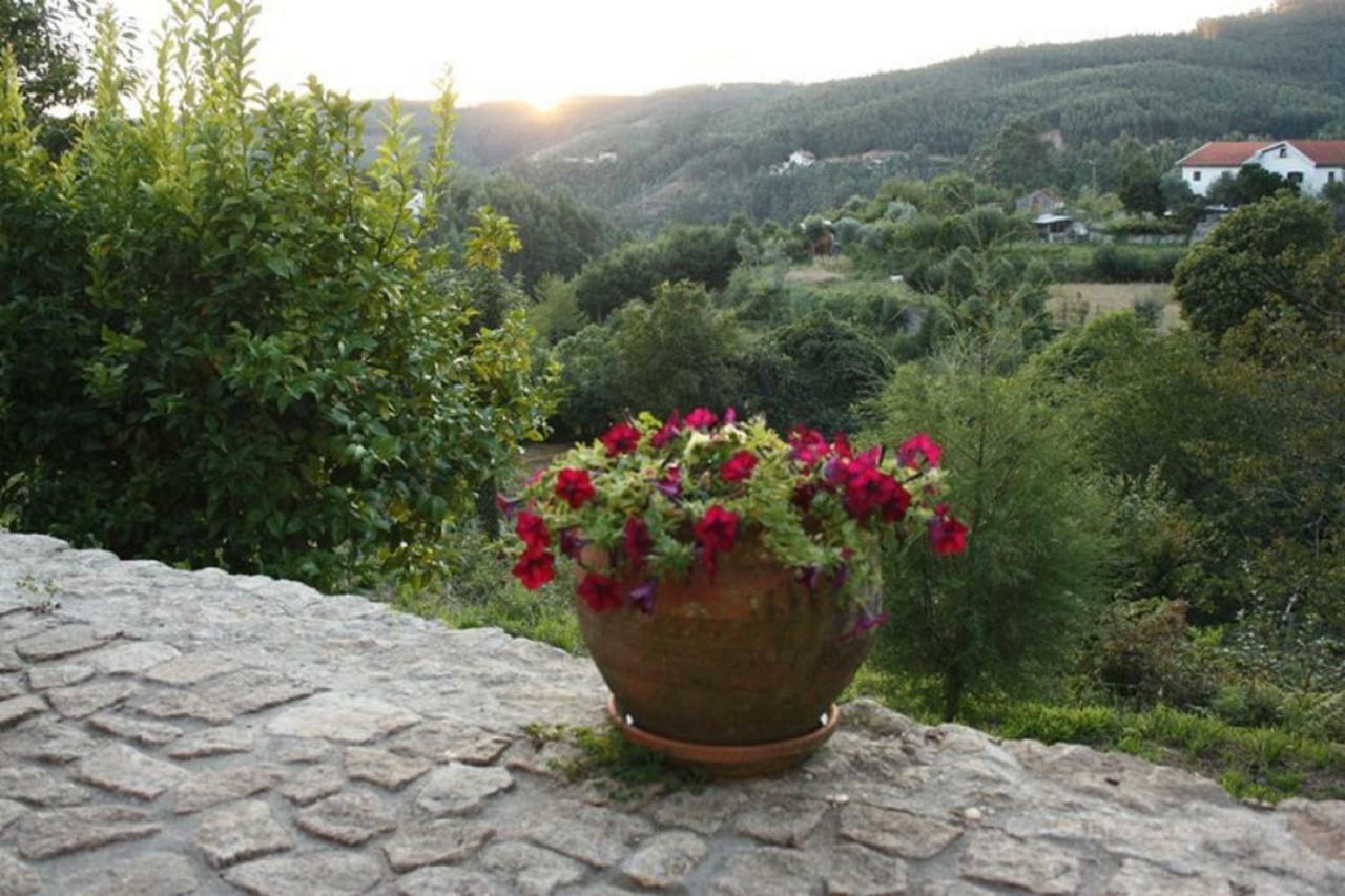 Quinta Da Costeira Villa Sever do Vouga Eksteriør bilde